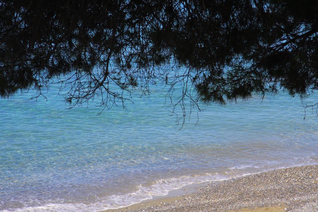 Lido Paradiso Resort Pisciotta Esterno foto