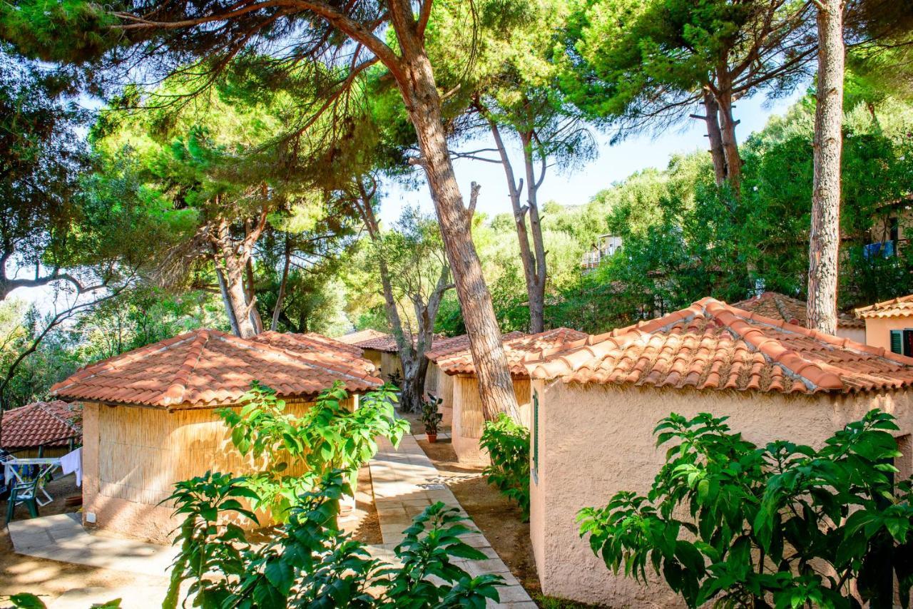 Lido Paradiso Resort Pisciotta Esterno foto